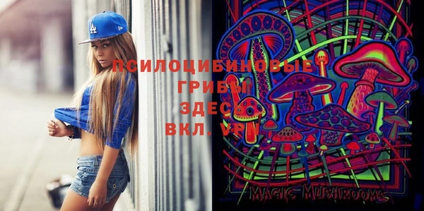 прущая мука Белокуриха