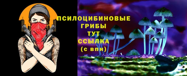 МДМА Богданович
