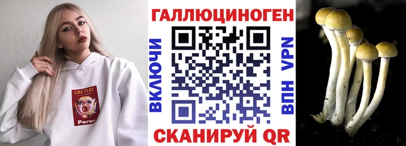 купить наркотик  Пионерский  Галлюциногенные грибы GOLDEN TEACHER 