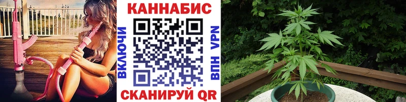 KRAKEN зеркало Пионерский Конопля сатива